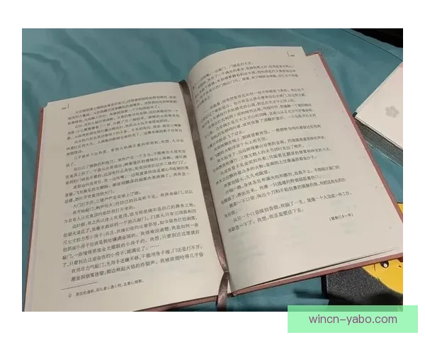 当世界第一荣誉变得模糊 游戏排名背后的意义与迷思探讨